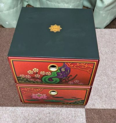 New Ace Attorney Gyakuten Saiban 6  LIMITED EDITION